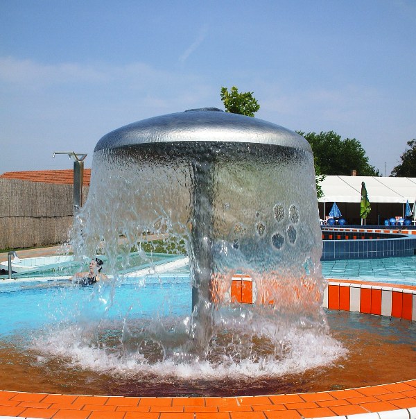 vízgomba